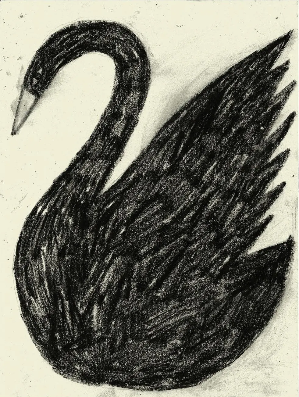 Somos Yunta Sofia Grin 03